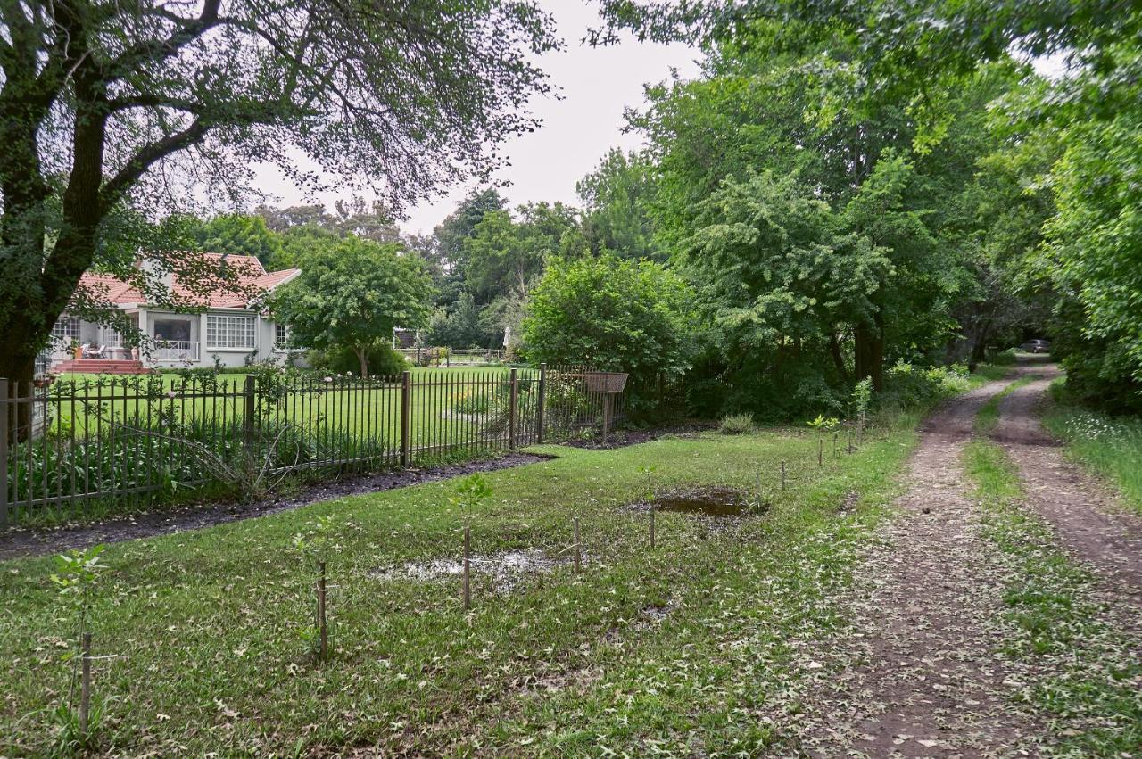 Forest Lane Clarens Exterior photo